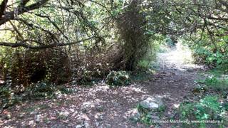stello marchesa di Cassibile-10-02-2015 19-58-32